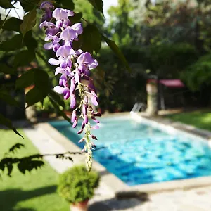 **** Hotel Park Palace Italie